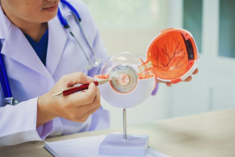 Médico apontado para objeto que representa um olho